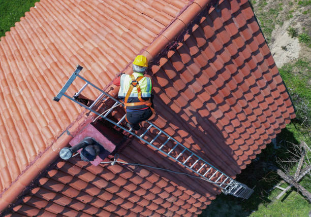 Best Solar Panel Roofing Installation  in Daphne, AL