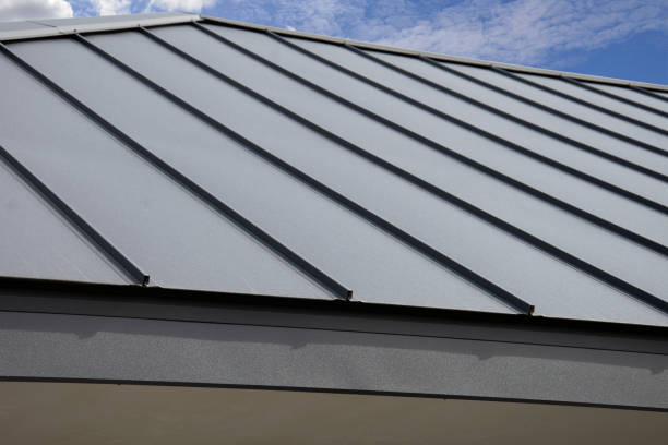 Best Roof Moss and Algae Removal  in Daphne, AL