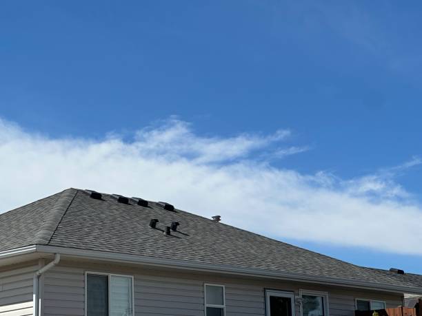 Best Storm Damage Roof Repair  in Daphne, AL